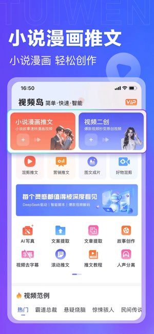 视频岛截图