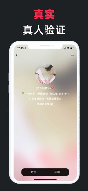 马赛克截图