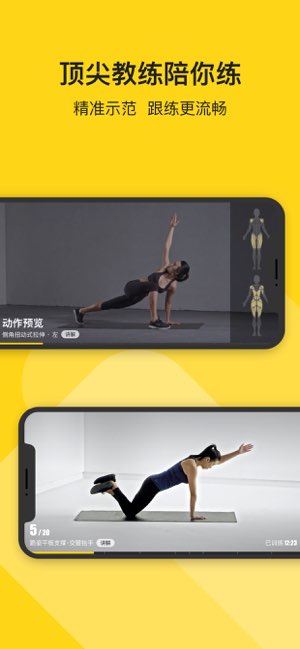 Fit截图