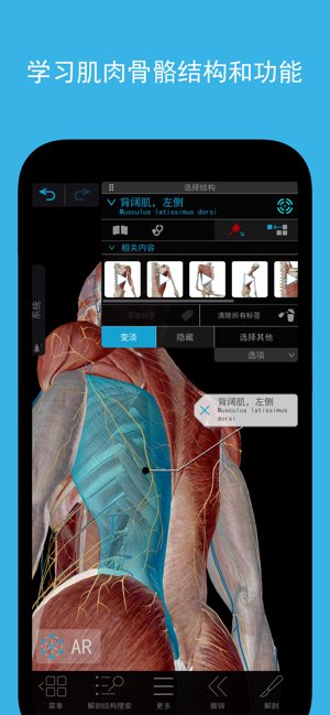 肌肉与运动机能学截图