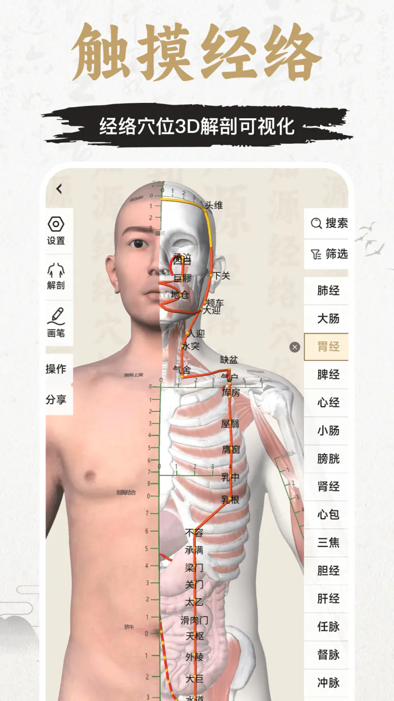 知源经络穴位截图