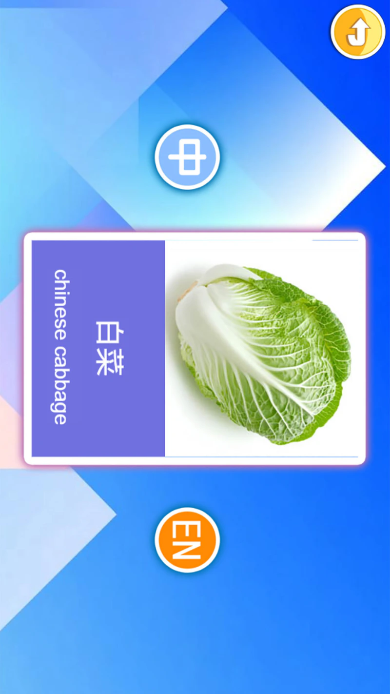 宝宝早教有声卡片: 宝宝的看图识字卡