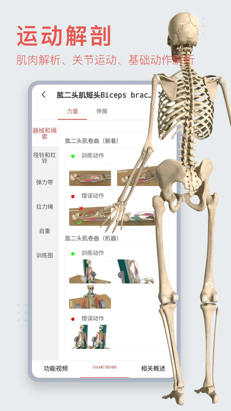 3Dbody解剖: 医学图像知识资源平台