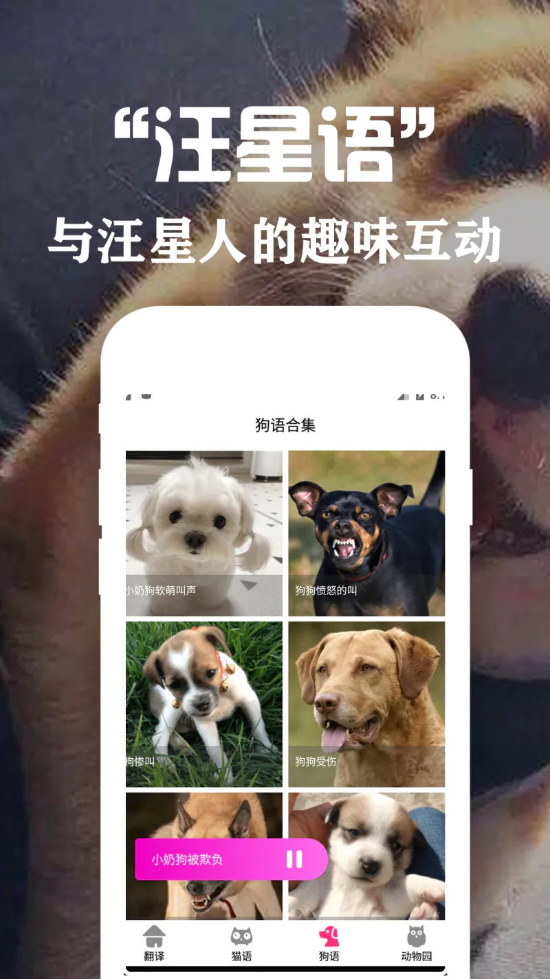 狗语翻译交流器: 人狗交流实时互动