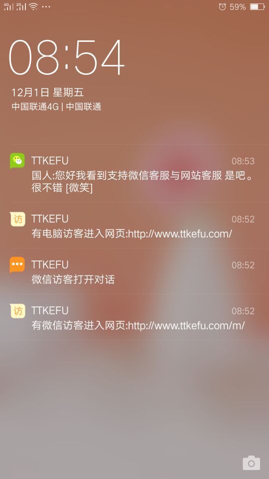 ttkefu网站在线客服系统截图