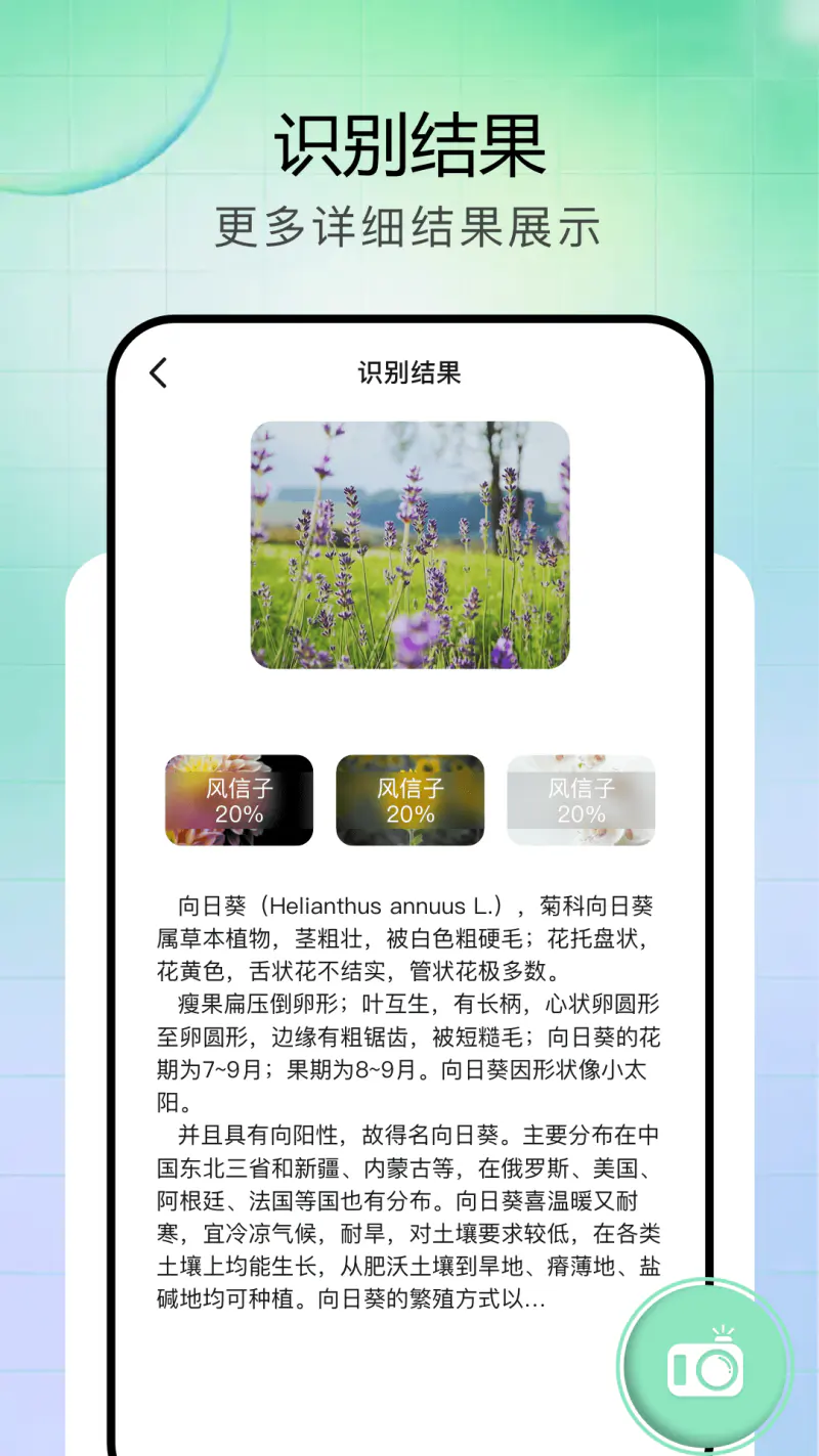 vFlat扫描仪截图