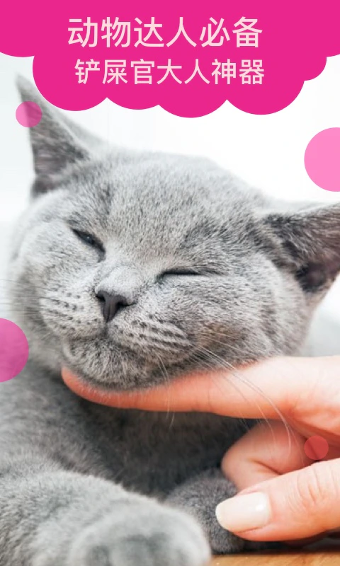 猫语翻译: 潮好玩的猫猫翻译器撸猫逗猫软件