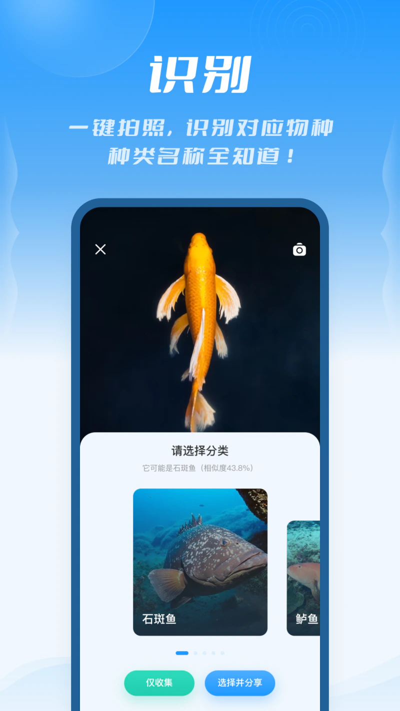 问鱼截图