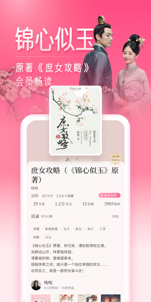 红袖读书: 你根本不懂，我在这里看了多少小说