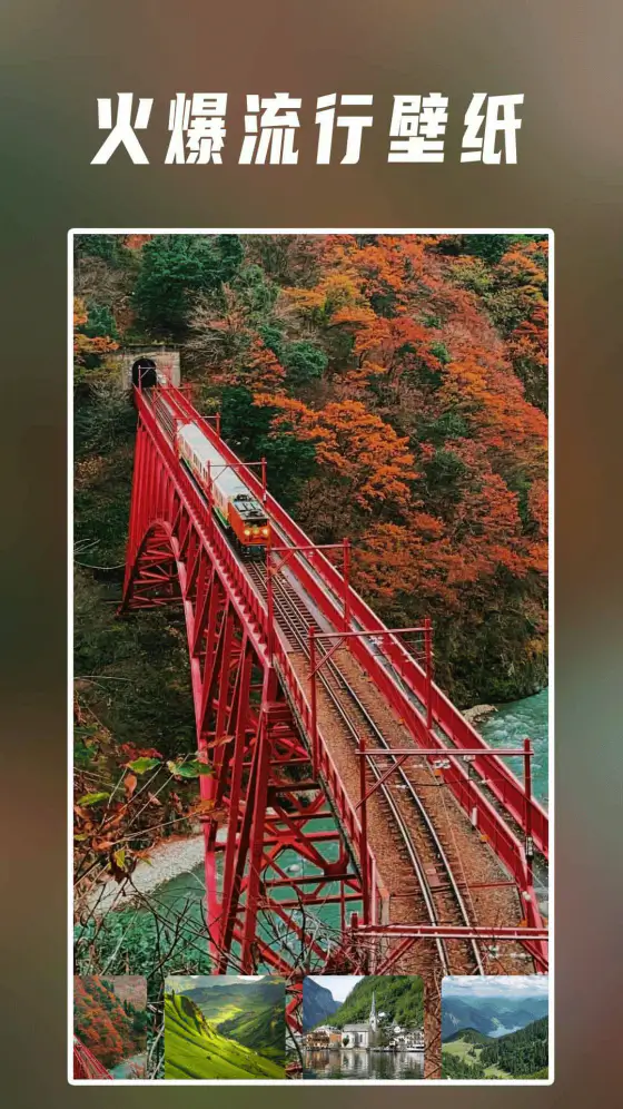 手机壁纸: 超清精美壁纸一键搞定！