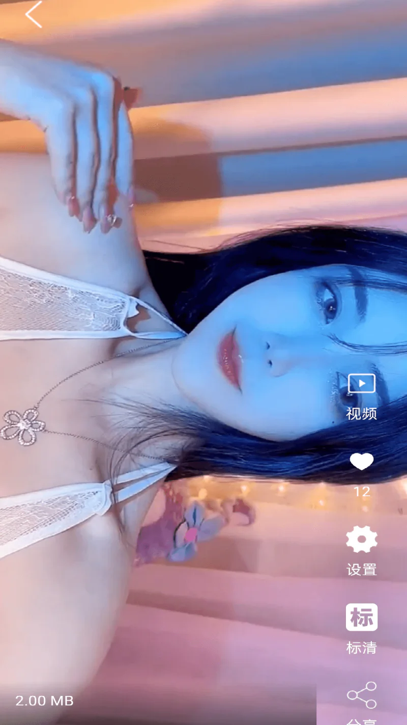 视频壁纸: 视频桌面壁纸,漂亮的壁纸