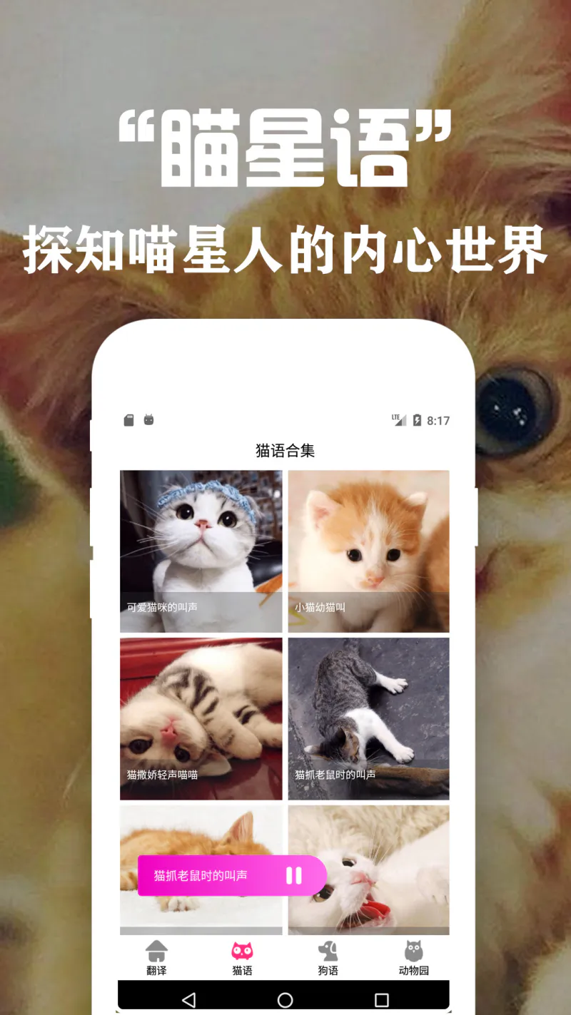 狗语翻译交流器: 人狗交流实时互动