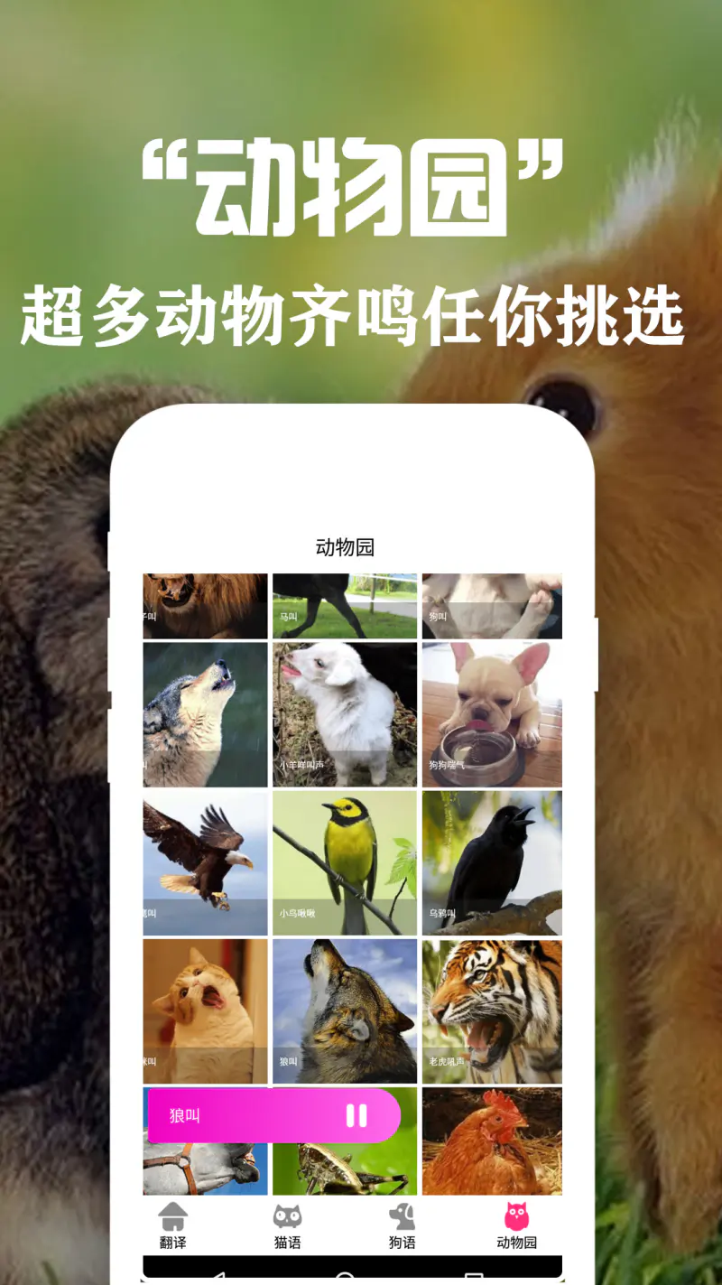 狗语翻译交流器: 人狗交流实时互动