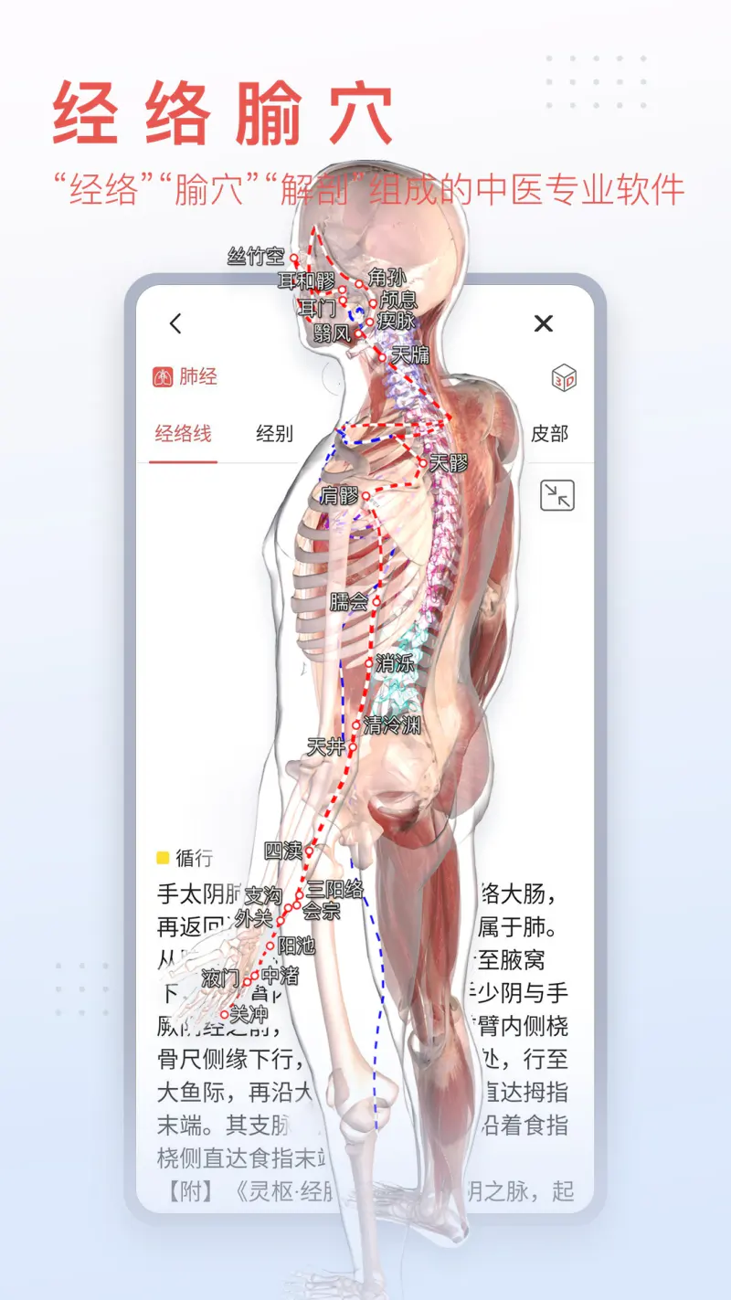 3Dbody解剖: 医学图像知识资源平台