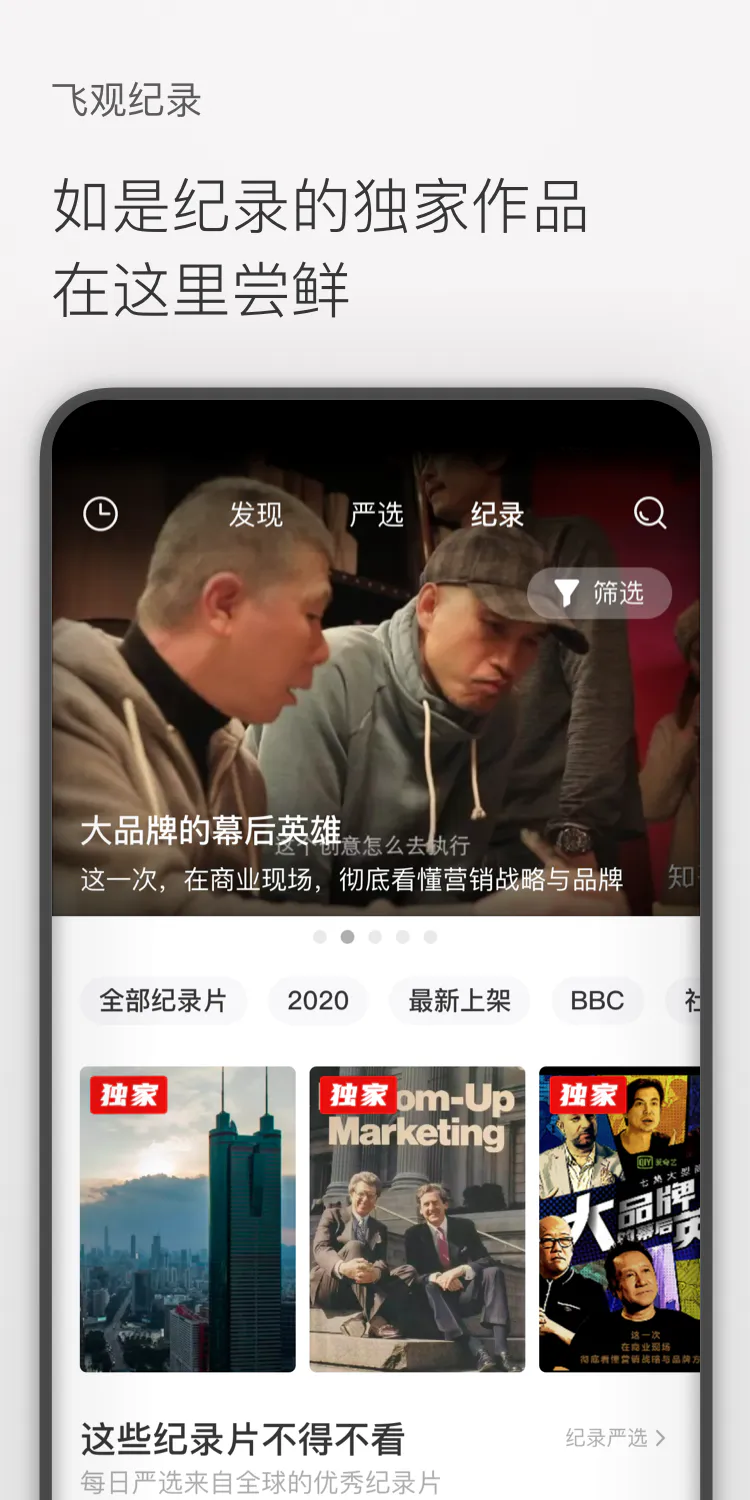 飞观截图