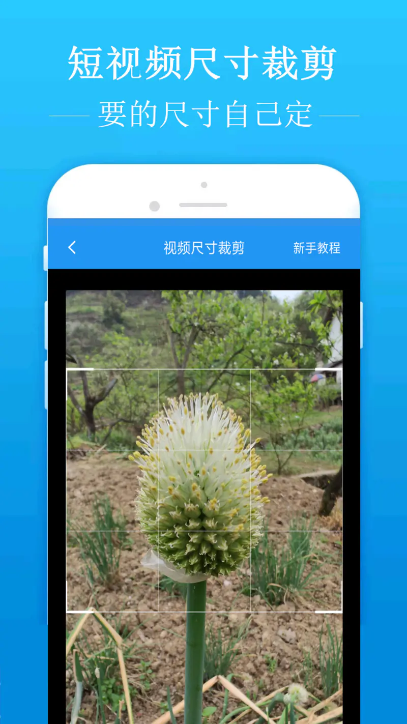 去水印吧: 去水印一键图片去水印软件