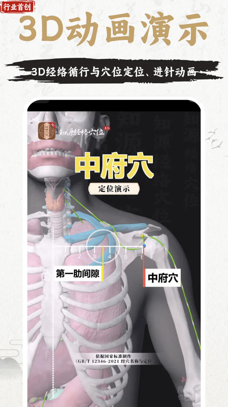 知源经络穴位截图