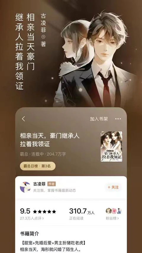 番茄免费小说截图