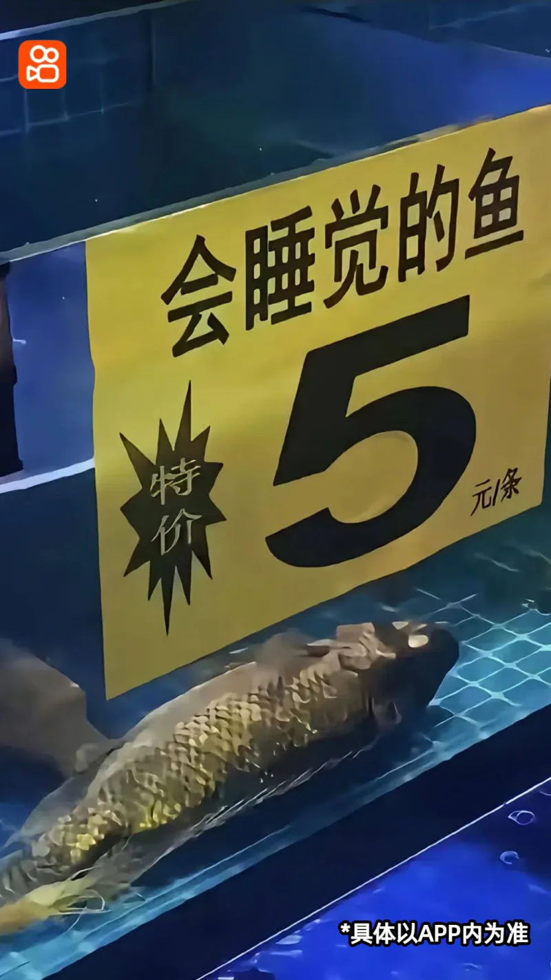 快手截图