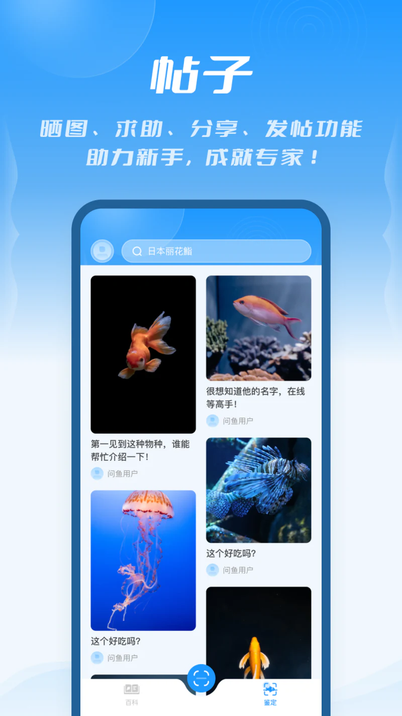 问鱼截图