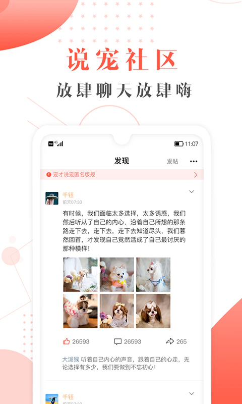 宠才宝截图