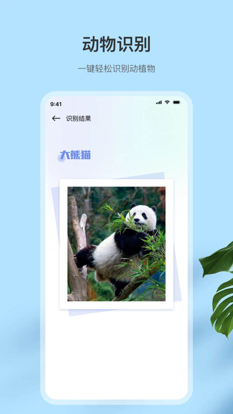 扫描全: 一键拍照识字证件扫描PDF转换工具
