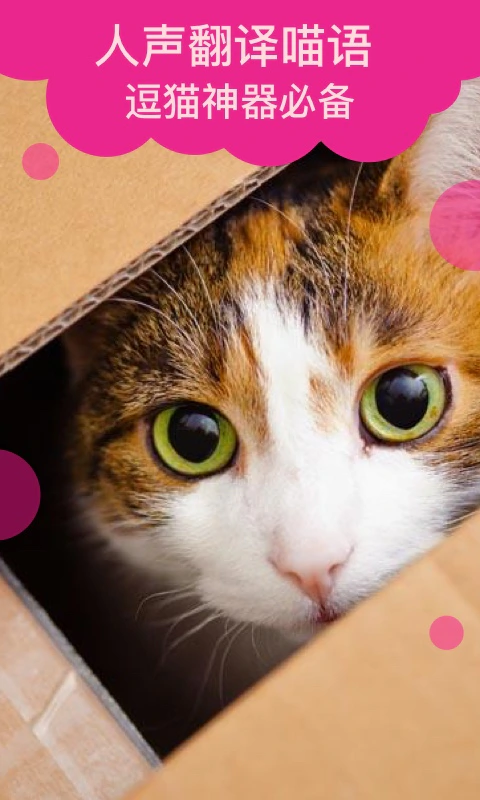 猫语翻译: 潮好玩的猫猫翻译器撸猫逗猫软件