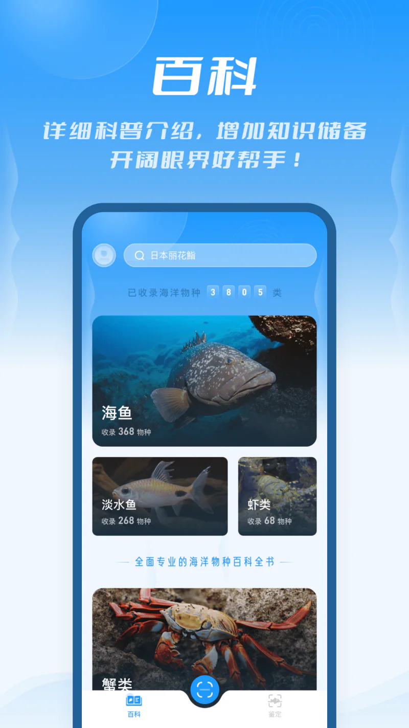 问鱼截图