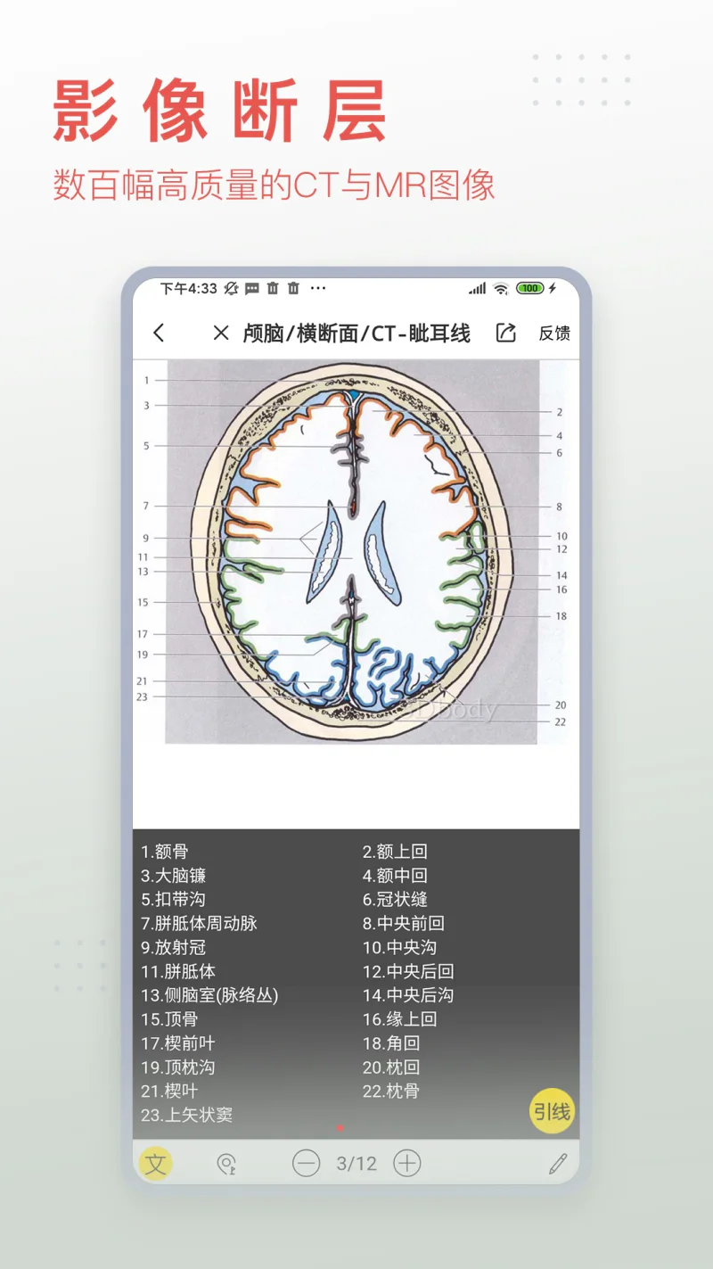 3Dbody解剖: 医学图像知识资源平台