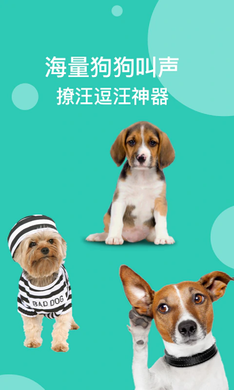 狗语翻译: 潮好玩的动物语音识别器